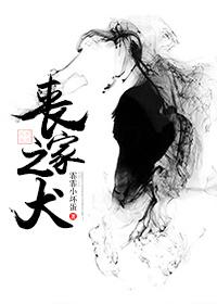丧家之犬为什么指的是孔子