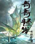 奇奇怪界ns重置版