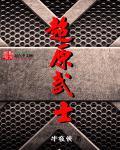 空军武士超