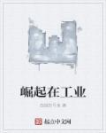 工业崛起教程