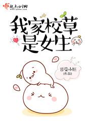 我家校草很全能全文免费阅读无弹窗356