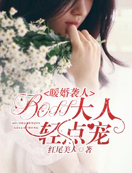 暖婚轻宠妻合集