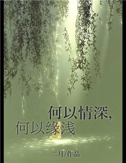 何以情缘免费阅读