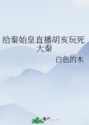 胡亥给秦始皇背锅