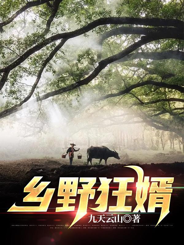 乡野狂婿张小宝