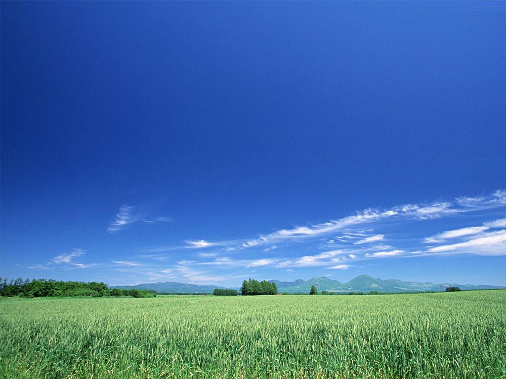 丰水居士
