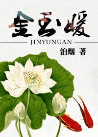 金玉暖 结局