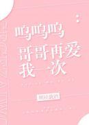 哥哥再爱我一遍
