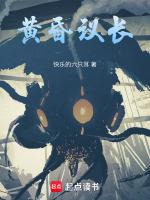 黄昏议长无防盗