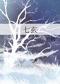 七玄派4怎么过