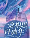 一念相思沈念版