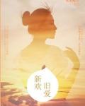 新欢旧爱近义词