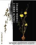 名门记事 久岚讲的什么