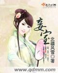 妾室做平妻
