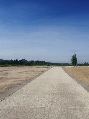 甜甜的青春爱情