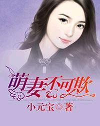 妻不可欺田心