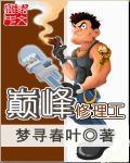 巅峰修理工txt