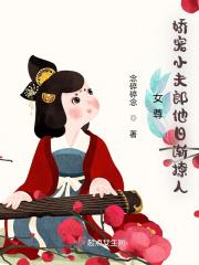 女尊:娇宠小夫郎他日渐撩人