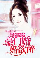 狼性冷少:豪门婚婚欲醉