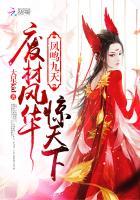凤鸣九天:废材风华惊天下